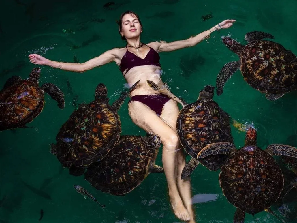 Swimming With Turtles & Sunset Dhow Cruise